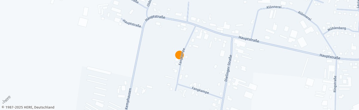 Marlies Koel, Mentor*in