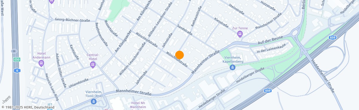 Rascha Al-Nemer, Hypnosetherapeut*in