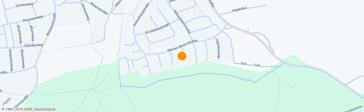 Anette Sieber, Coach